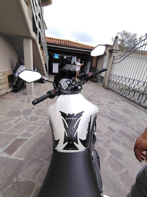 Kawasaki ER-6N (2009 - 11)