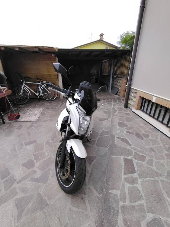 Kawasaki ER-6N (2009 - 11) (3)