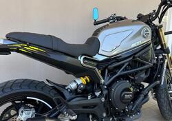 Benelli Leoncino 800 (2022 - 25) usata