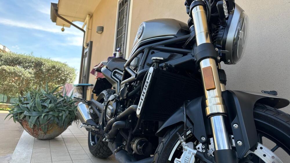 Benelli Leoncino 800 (2022 - 25) (2)