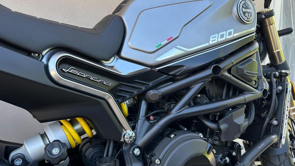 Benelli Leoncino 800 (2022 - 25) (3)