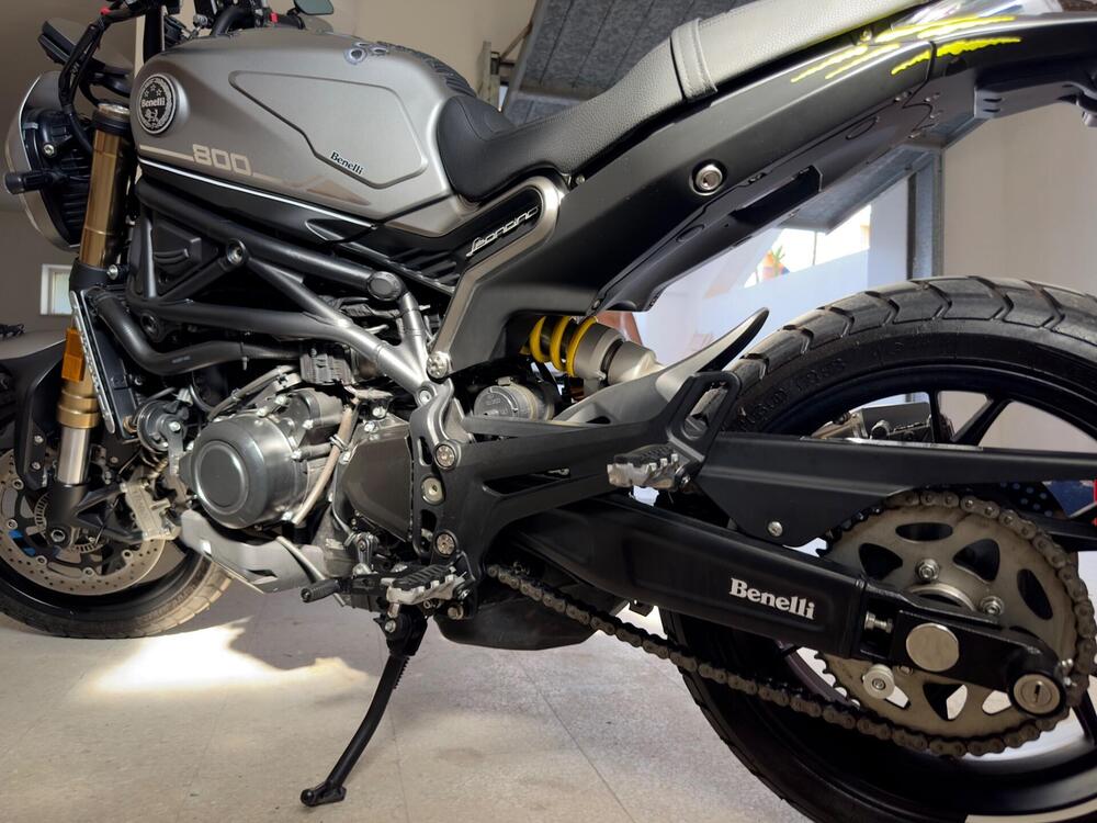 Benelli Leoncino 800 (2022 - 25) (4)