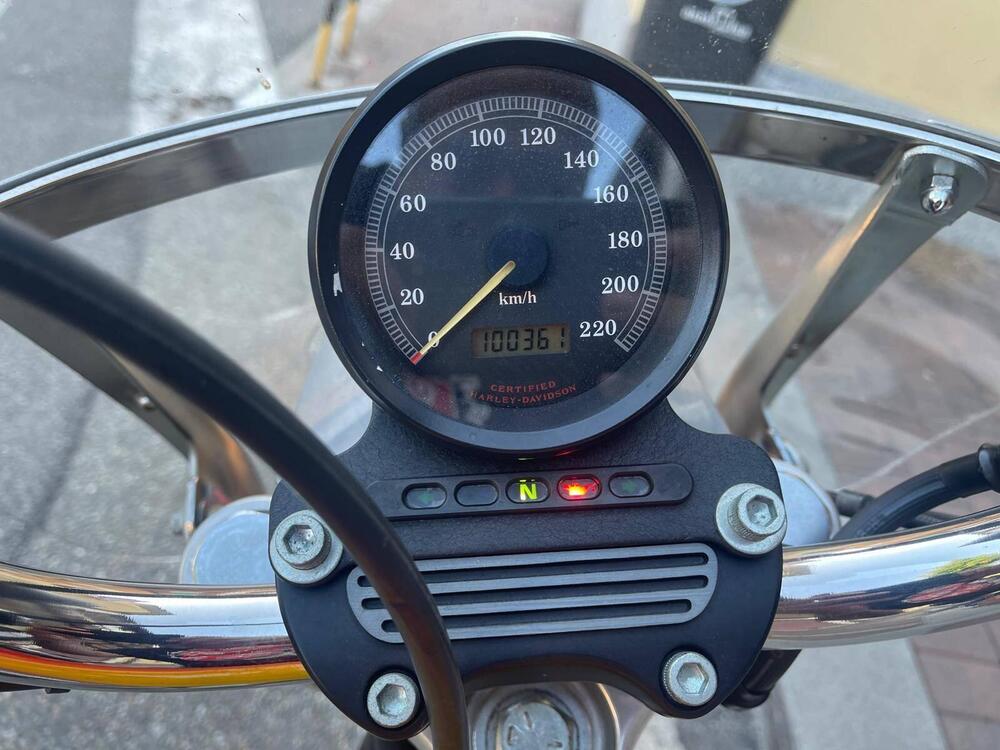 Harley-Davidson 883 Standard (2001 - 05) - XL 883 (3)