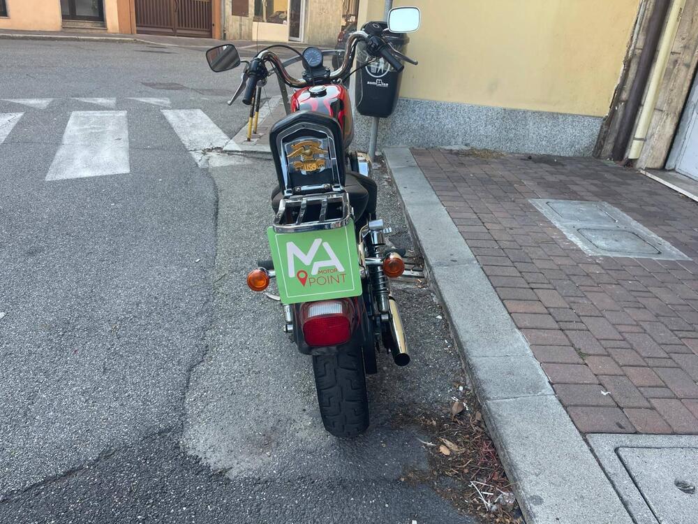 Harley-Davidson 883 Standard (2001 - 05) - XL 883 (4)