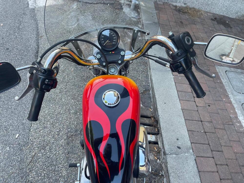 Harley-Davidson 883 Standard (2001 - 05) - XL 883 (5)