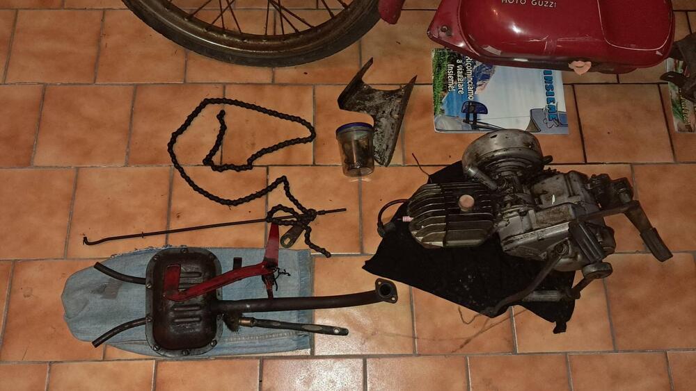 Moto Guzzi Cardellino 83 (3)