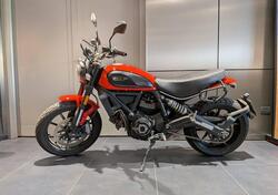 Ducati Scrambler 800 Icon (2017 - 20) usata