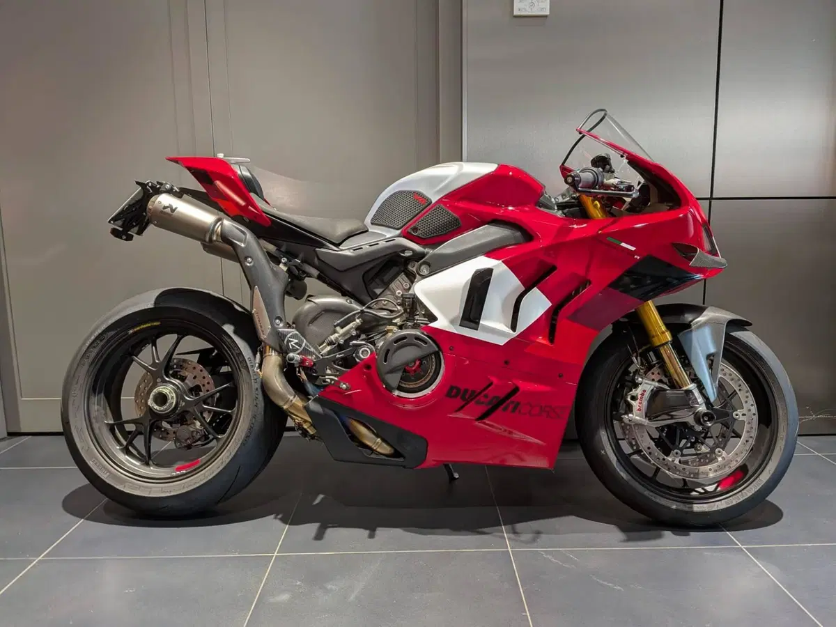 Ducati Panigale V4 R (2023 - 24) (4)