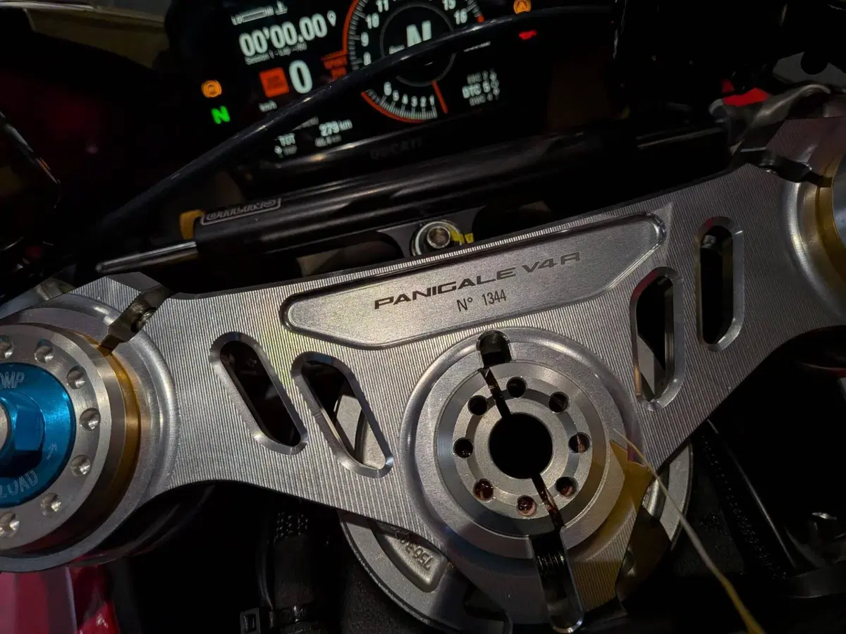 Ducati Panigale V4 R (2023 - 24) (10)
