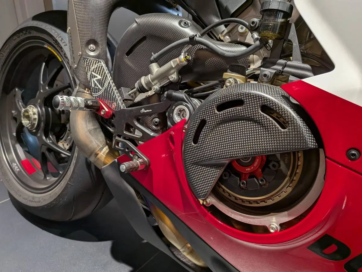 Ducati Panigale V4 R (2023 - 24) (8)