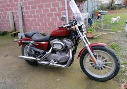 Harley-Davidson 883 Low (2006 - 07) - XL 883L usata