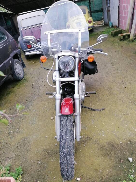 Harley-Davidson 883 Low (2006 - 07) - XL 883L (2)