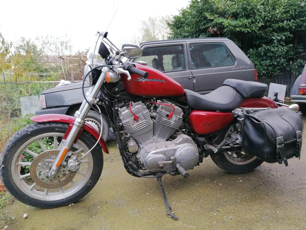 Harley-Davidson 883 Low (2006 - 07) - XL 883L (3)