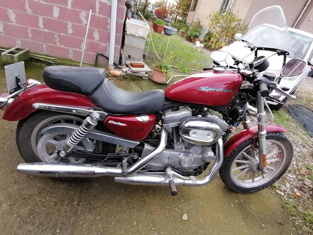 Harley-Davidson 883 Low (2006 - 07) - XL 883L (5)