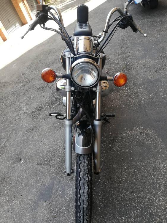 Yamaha XV 250 S Virago (1994 - 01) (4)