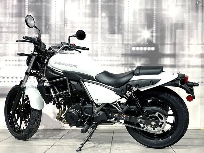 Kawasaki Eliminator 500 (2024 - 26) (2)