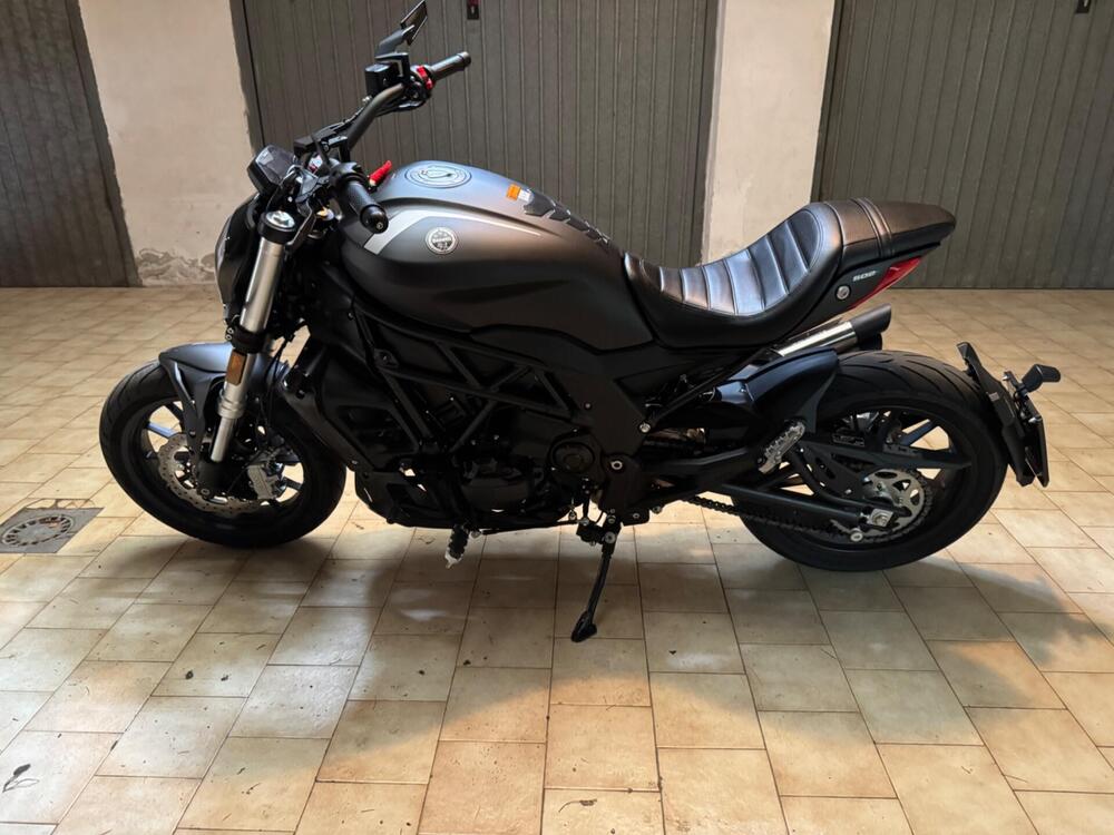 Benelli 502 C (2021 - 25) (3)