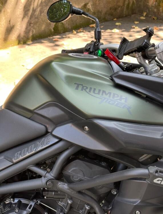 Triumph Tiger 800 XC ABS (2010 - 14) (5)