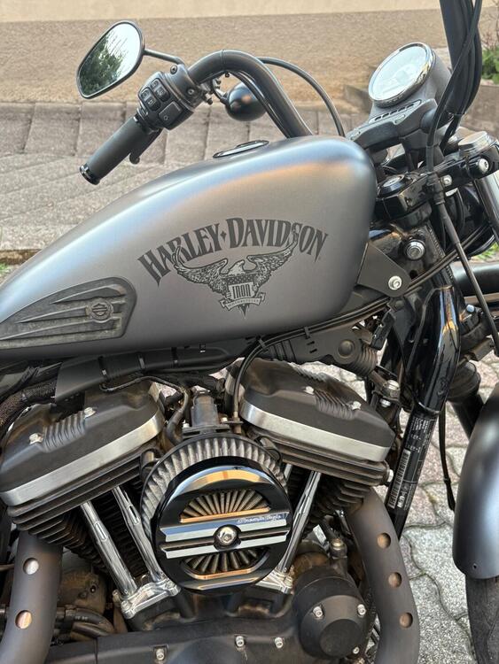 Harley-Davidson 883 Iron (2017 - 20) - XL 883N (2)