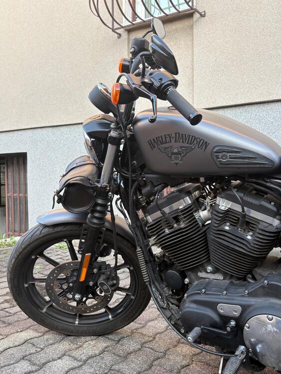 Harley-Davidson 883 Iron (2017 - 20) - XL 883N (3)