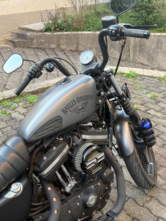 Harley-Davidson 883 Iron (2017 - 20) - XL 883N (5)