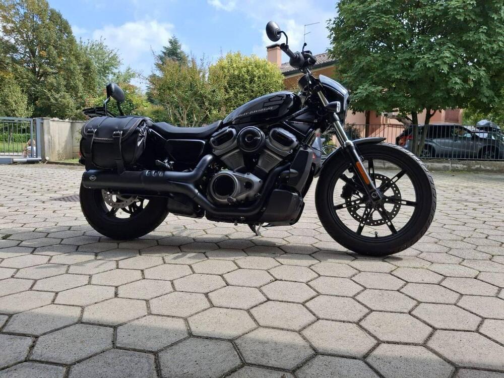 Harley-Davidson Nightster (2023 - 25)