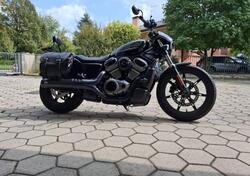 Harley-Davidson Nightster (2023 - 25) usata