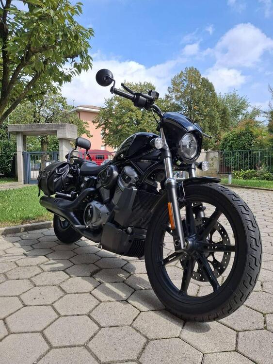 Harley-Davidson Nightster (2023 - 25) (4)