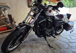 Harley-Davidson 883 Custom (2006 - 07) - XL 883C usata