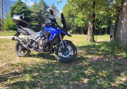 Suzuki V-Strom 800SE (2023 - 24) usata