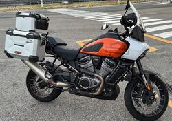 Harley-Davidson Pan America 1250 Special (2020 - 25) usata