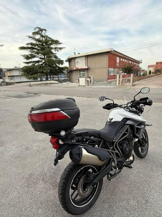 Triumph Tiger 800 XR (2015 - 17) (3)