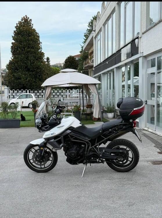 Triumph Tiger 800 XR (2015 - 17) (4)