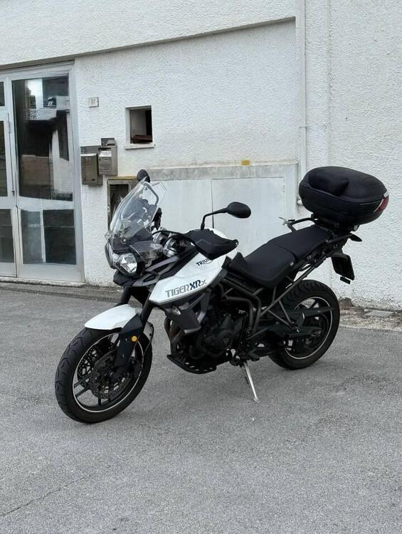 Triumph Tiger 800 XR (2015 - 17) (5)