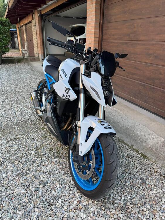 Suzuki GSX-8S (2023 - 24) (2)