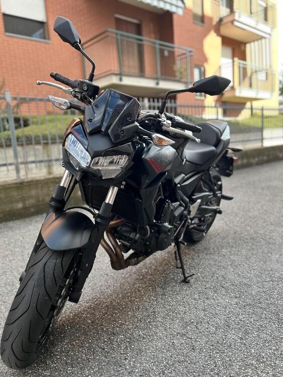 Kawasaki Z 650 (2021 - 24) (2)