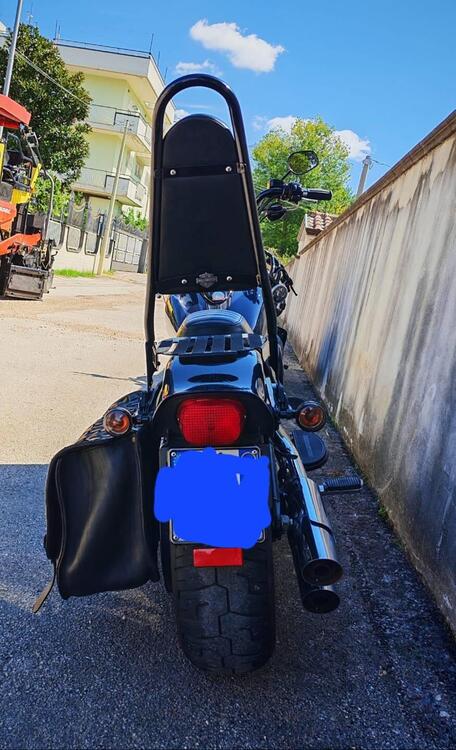 Harley-Davidson 1584 Cross Bones (2008 - 11) - FLSTSB (4)