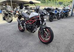 Suzuki SV650 (2021 - 24) usata
