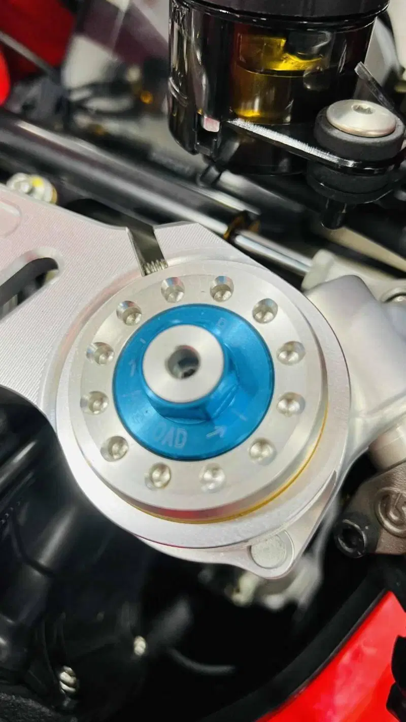 Ducati Panigale V4 R (2023 - 24) (19)