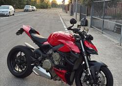 Ducati Streetfighter V4 (2023 - 24) usata