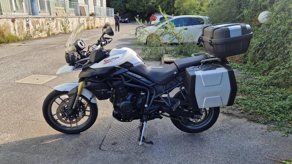 Triumph Tiger 800 ABS (2010 - 14) (2)