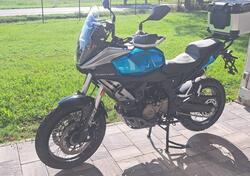 QJ Motor SRT 600 SX (2024 - 25) usata