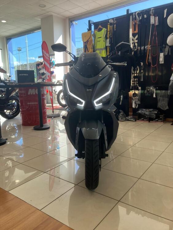 Sym Jet 14 125 CBS LC EVO (2024 - 25)