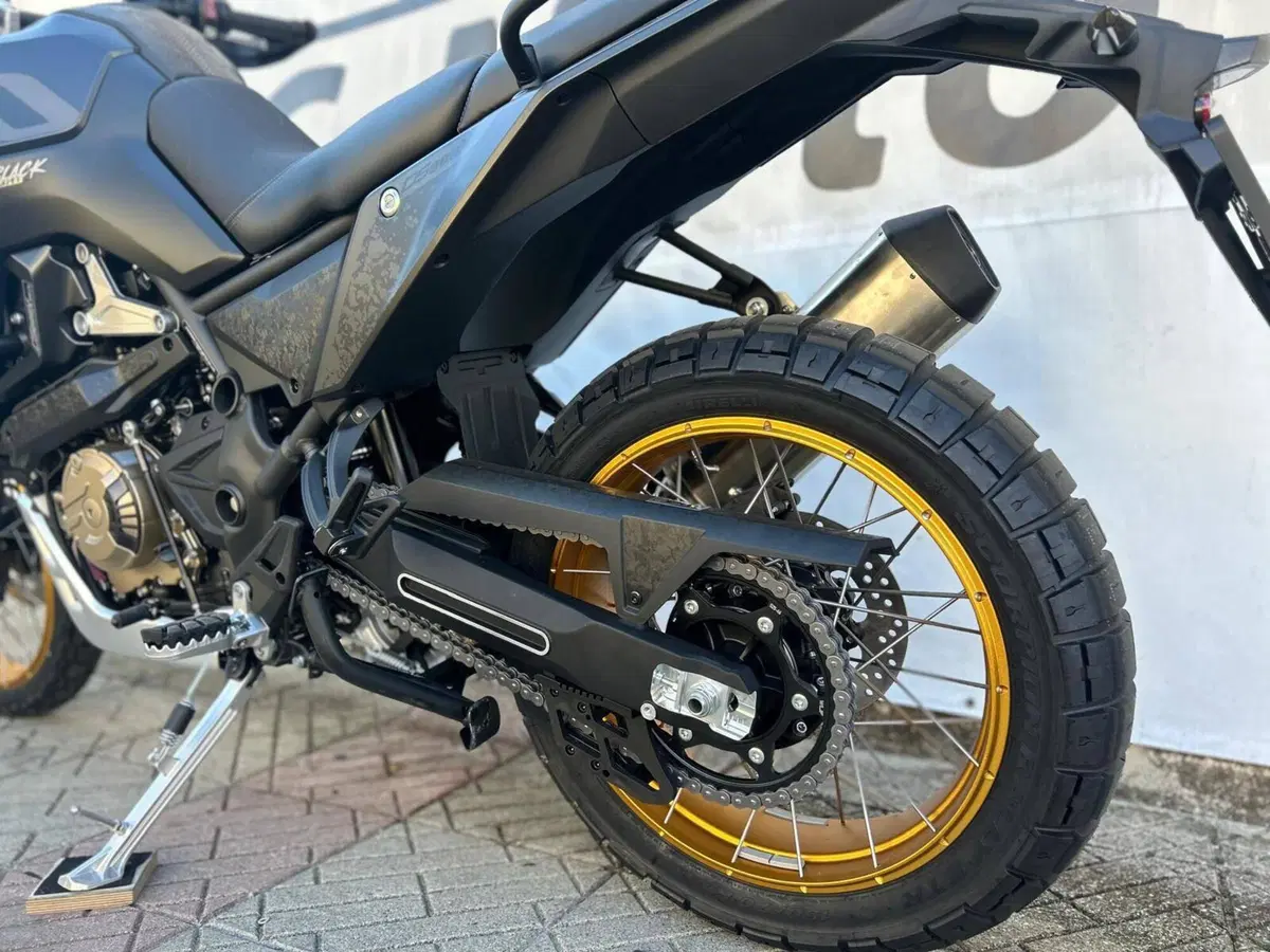 Voge Valico 800DSX Rally (2025 - 26) (6)