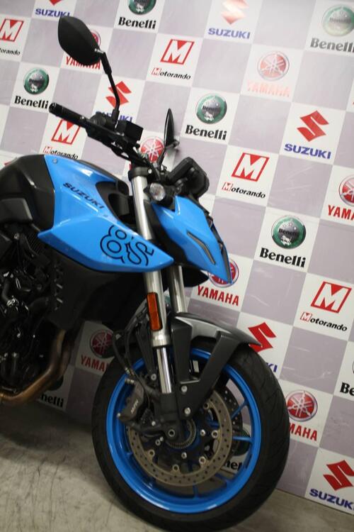 Suzuki GSX-8S (2023 - 24) (3)