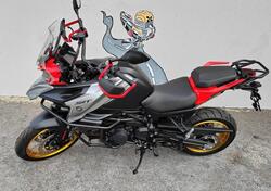 QJ Motor SRT 900 SX (2025) nuova