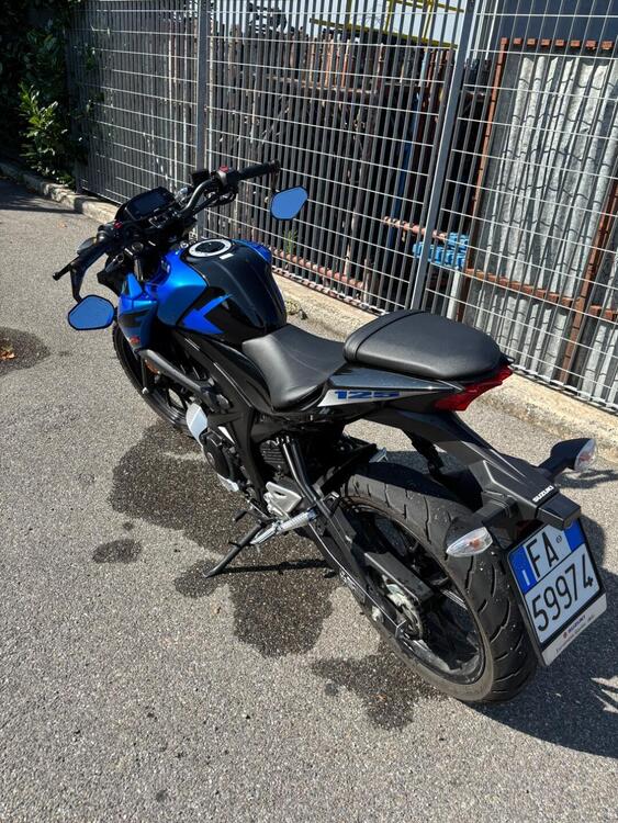 Suzuki GSX-S125 (2022 - 24) (2)