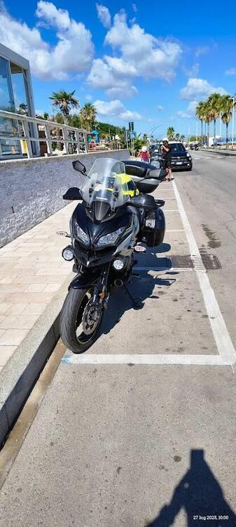 Kawasaki Versys 650 Grand Tourer (2017 - 20) (3)