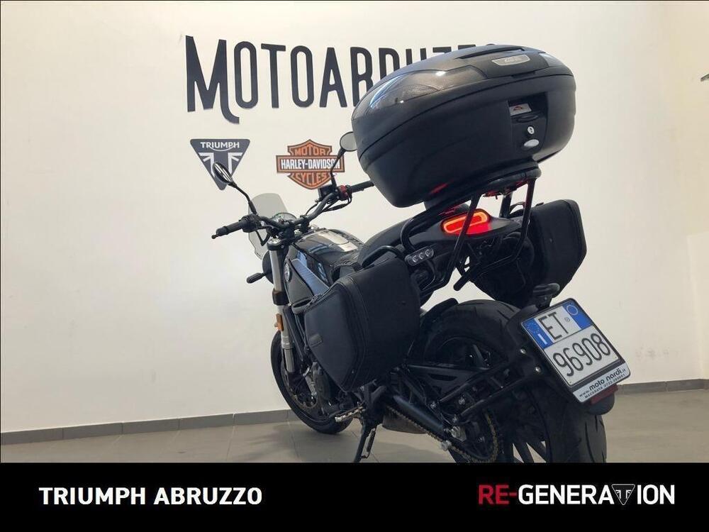 Benelli Leoncino 500 (2021 - 25) (4)