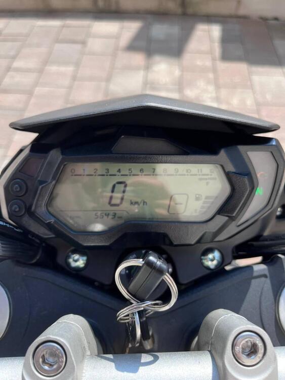 Benelli BN 125 (2018 - 20) (4)